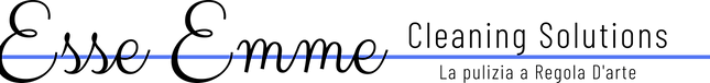 logo-horizontal-esseemmecleaning
